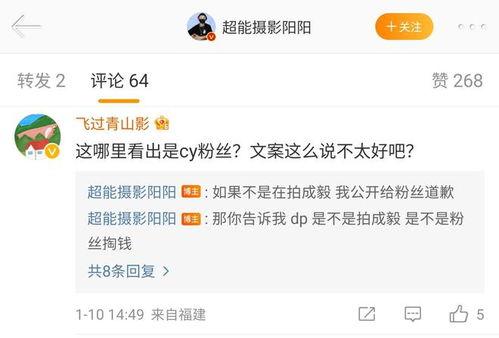 娱乐大瓜爆料成毅,娱乐大瓜背后的真实故事  第2张